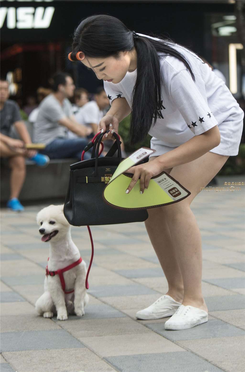 美女与狗狗-街拍流行馆